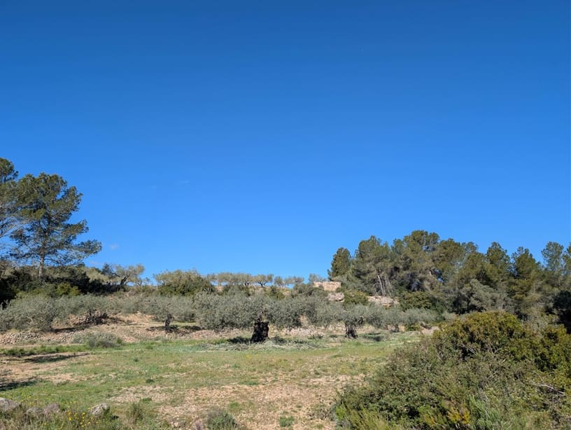 Undeveloped Land for sale in Rasquera - € 33,000 (Ref: 9839633)