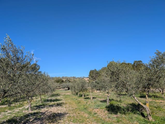 Grunde uden byggetilladelser til salg i Rasquera - € 33.000 (Ref: 9839633)