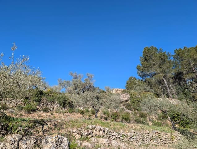 Grunde uden byggetilladelser til salg i Rasquera - € 33.000 (Ref: 9839633)