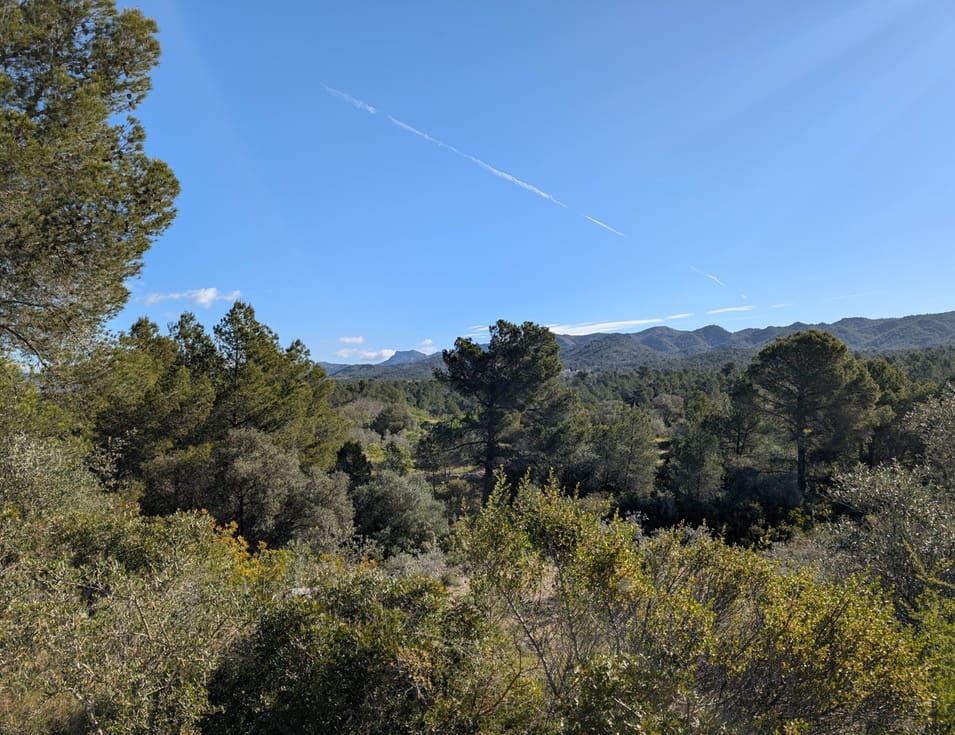 Undeveloped Land for sale in Rasquera - € 33,000 (Ref: 9839633)