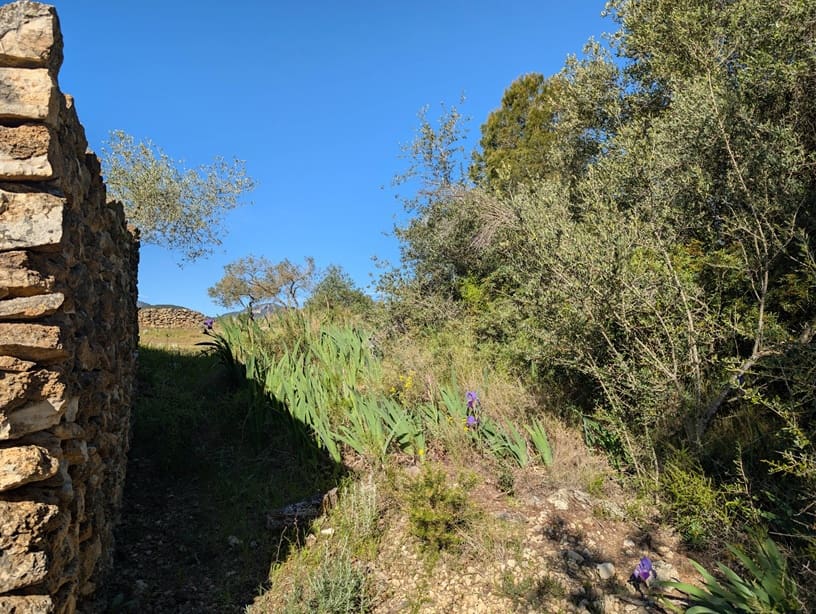Undeveloped Land for sale in Rasquera - € 33,000 (Ref: 9839633)