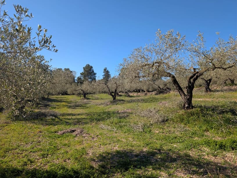 Undeveloped Land for sale in Rasquera - € 33,000 (Ref: 9839633)