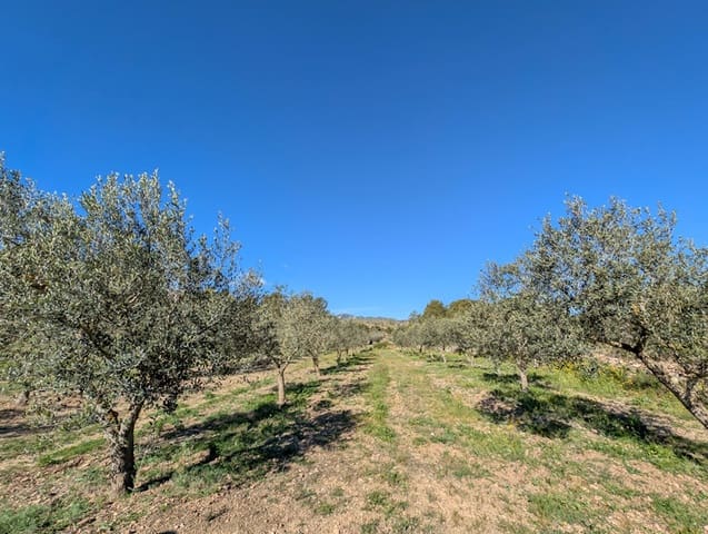Grunde uden byggetilladelser til salg i Rasquera - € 33.000 (Ref: 9839633)