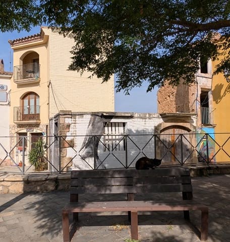 3 slaapkamer Huis te koop in Riba-roja d'Ebre - € 160.000 (Ref: 9885297)
