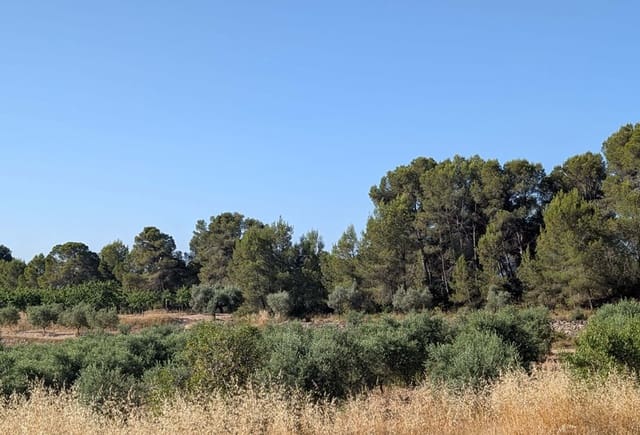 3 soveværelse Finca/Landehus til salg i Móra d'Ebre med garage - € 250.000 (Ref: 9927673)