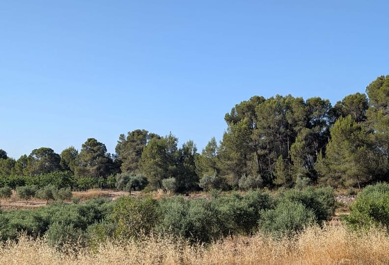 Finca/Casa Rural de 3 habitaciones en Móra d'Ebre en venta con garaje - 250.000 € (Ref: 9927673)