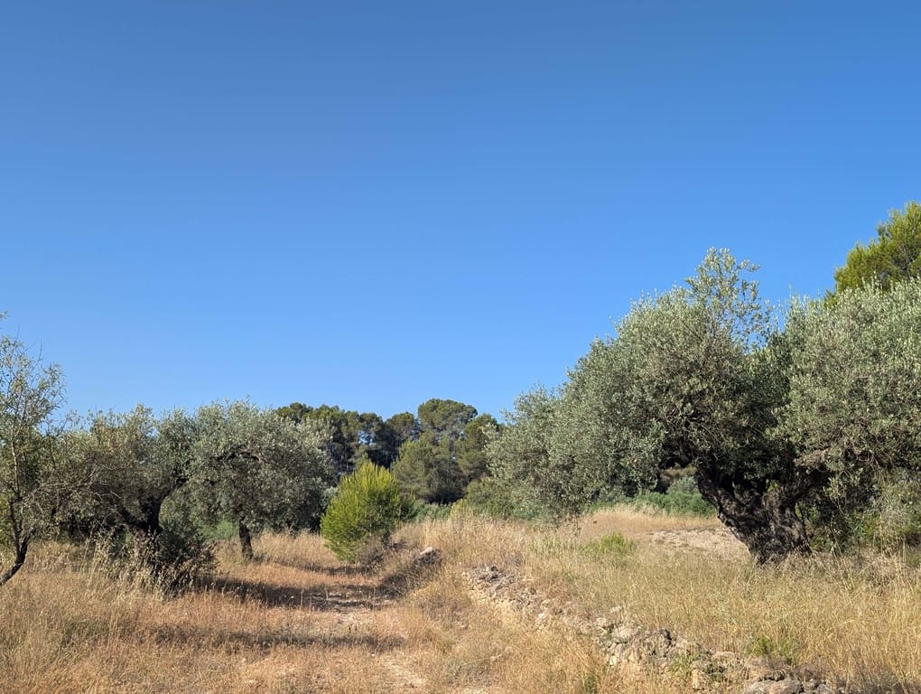 Finca/Casa Rural de 3 habitaciones en Móra d'Ebre en venta con garaje - 250.000 € (Ref: 9927673)