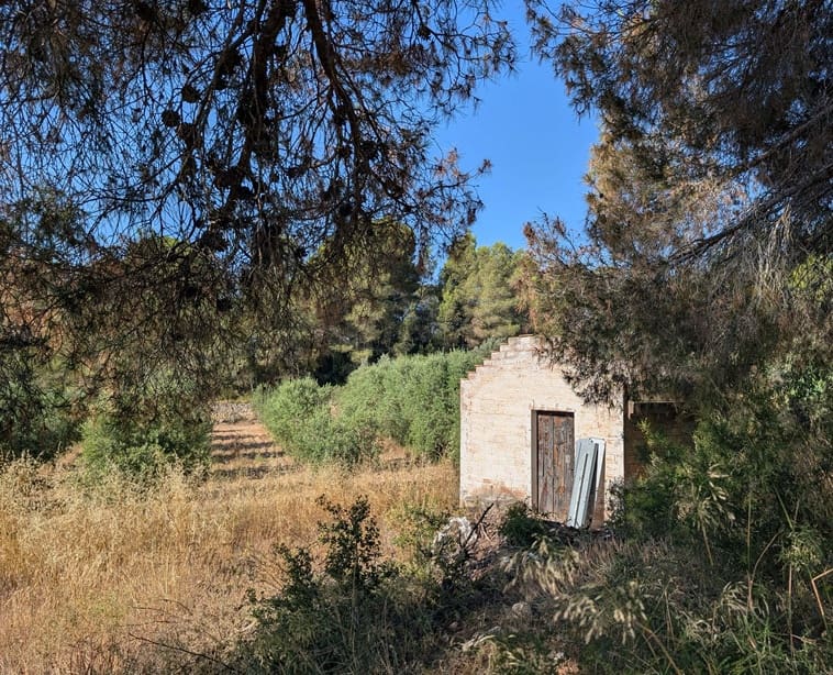 Finca/Casa Rural de 3 habitaciones en Móra d'Ebre en venta con garaje - 250.000 € (Ref: 9927673)