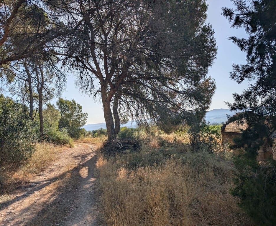 Finca/Casa Rural de 3 habitaciones en Móra d'Ebre en venta con garaje - 250.000 € (Ref: 9927673)