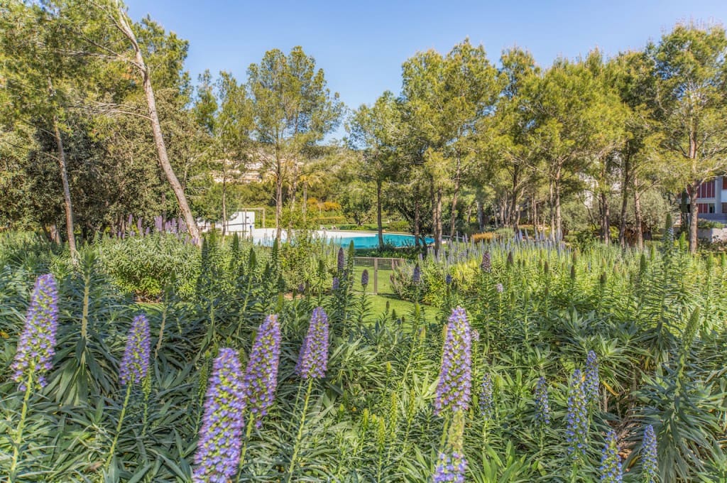 2 quarto Apartamento para venda em Bendinat com piscina garagem - 1 950 000 € (Ref: 3118619)