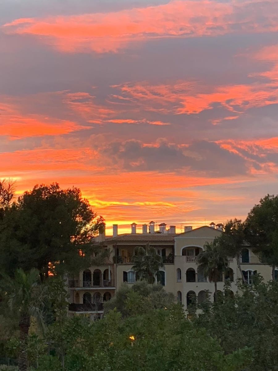 2 makuuhuone Huoneisto vuokrattavana paikassa Bendinat mukana uima-altaan - 4 500 € (Ref: 4070394)