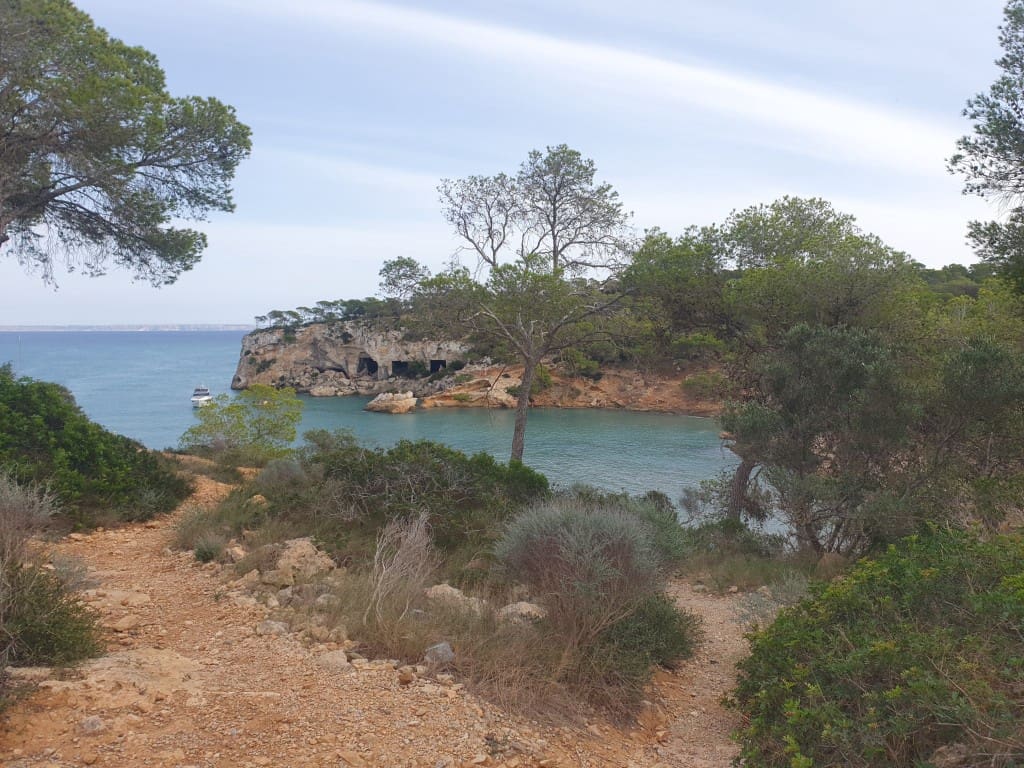 4 sypialnia Finka/Dom wiejski na sprzedaż w Portals Vells z basenem garażem - 1 450 000 € (Ref: 7855007)