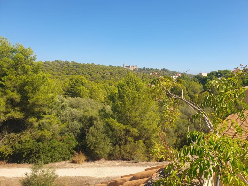 2 sypialnia Apartament na sprzedaż w Palma de Mallorca z basenem - 882 000 € (Ref: 8561300)