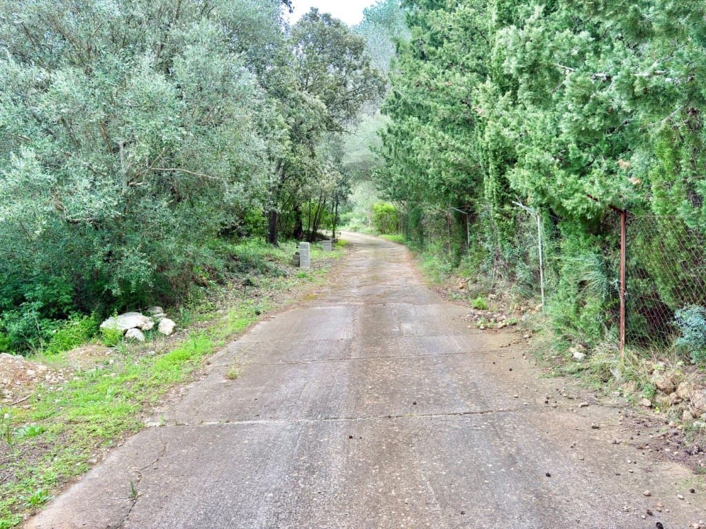 5 camera da letto Villa in vendita in Palma de Mallorca con piscina garage - 1.700.000 € (Rif: 8956948)