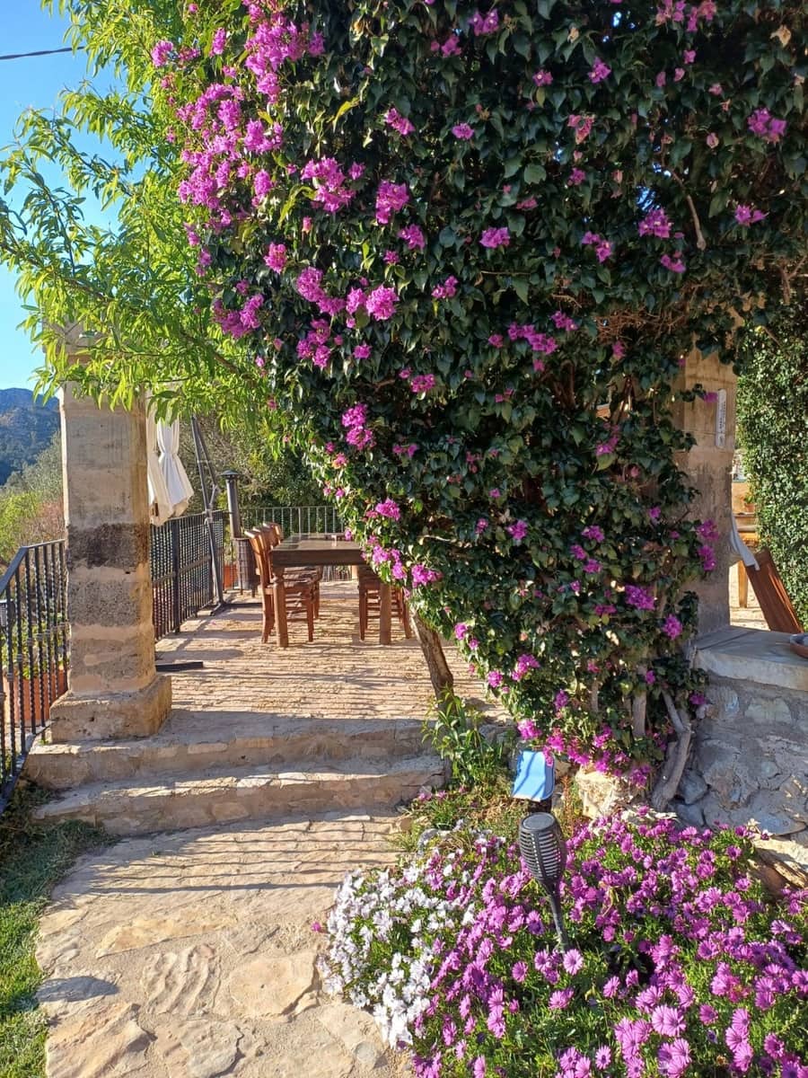 3 sypialnia Finka/Dom wiejski na sprzedaż w L'Arraco / S'Arraco z basenem - 2 559 000 € (Ref: 8971998)