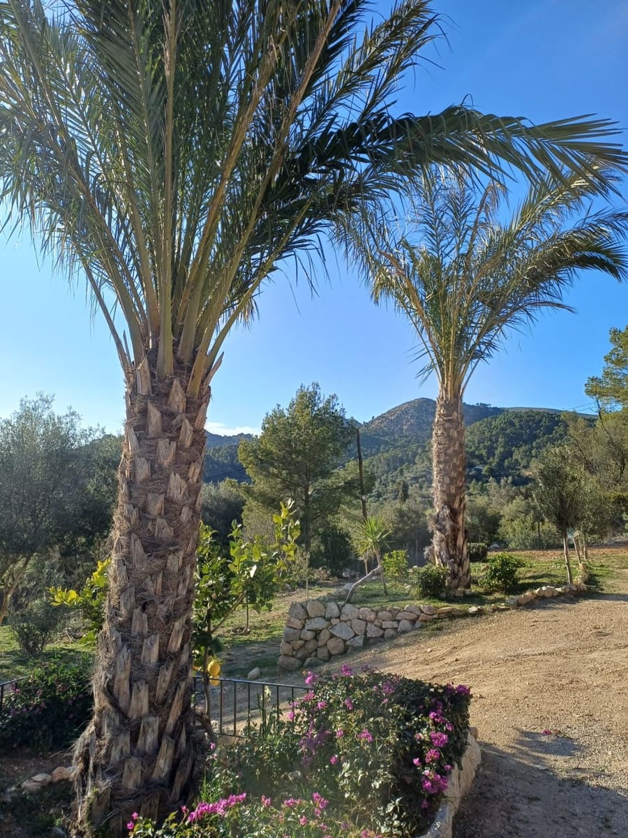 3 sypialnia Finka/Dom wiejski na sprzedaż w L'Arraco / S'Arraco z basenem - 2 559 000 € (Ref: 8971998)