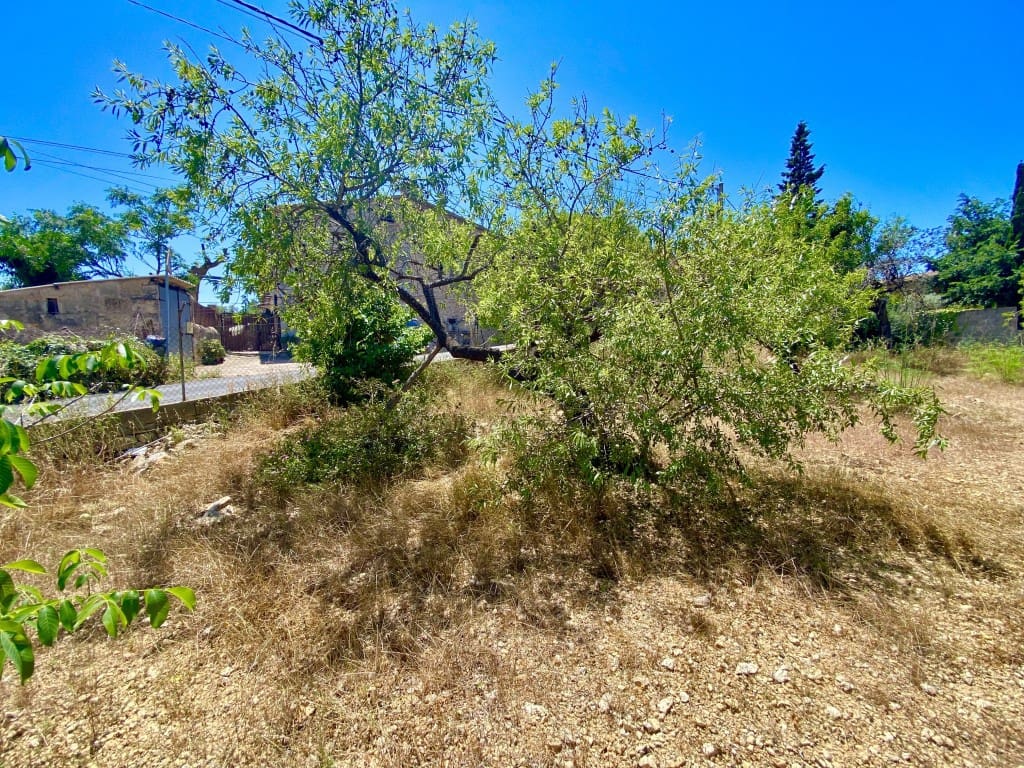 Bouwgrond te koop in Es Capdella - € 520.000 (Ref: 8993708)