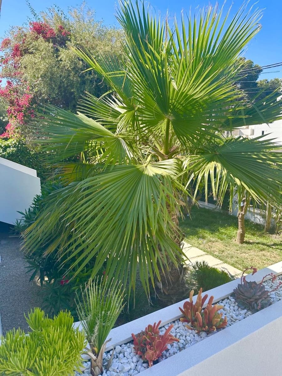 4 soveværelse Villa til salg i Palmanova med swimmingpool garage - € 2.300.000 (Ref: 9050847)