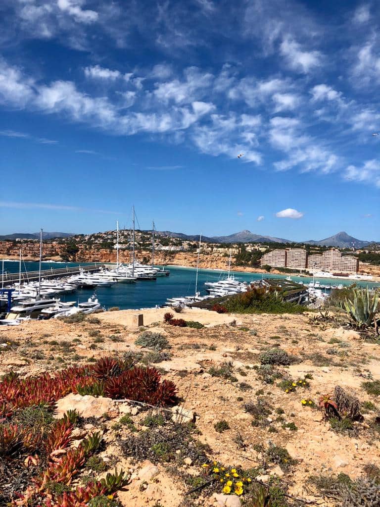 4 soveværelse Villa til salg i El Toro / Port Adriano med swimmingpool garage - € 3.300.000 (Ref: 9059046)