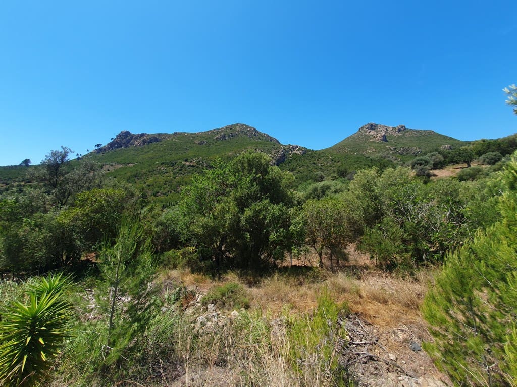 3 soveværelse Finca/Landehus til salg i Andratx med swimmingpool - € 1.100.000 (Ref: 9074917)