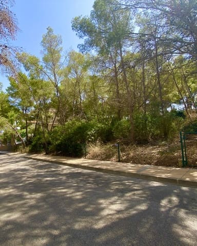 Terrain à Bâtir à vendre à Sol de Mallorca, Calvià - 965 000 € (Ref: 9195384)