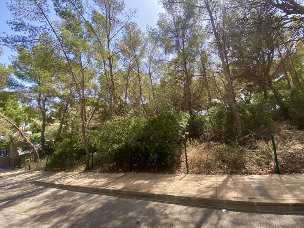 Byggetomt til salgs i Sol de Mallorca - € 965 000 (Ref: 9195384)