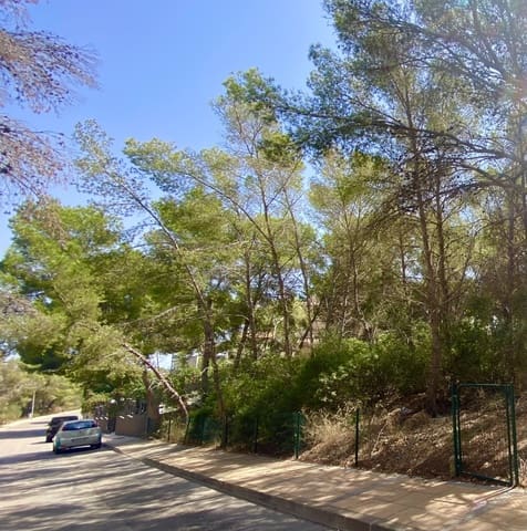 Terrain à Bâtir à vendre à Sol de Mallorca, Calvià - 965 000 € (Ref: 9195384)
