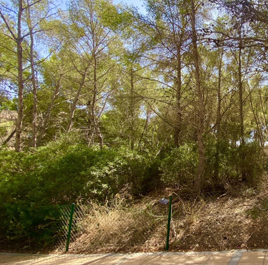 Byggetomt til salgs i Sol de Mallorca - € 965 000 (Ref: 9195384)