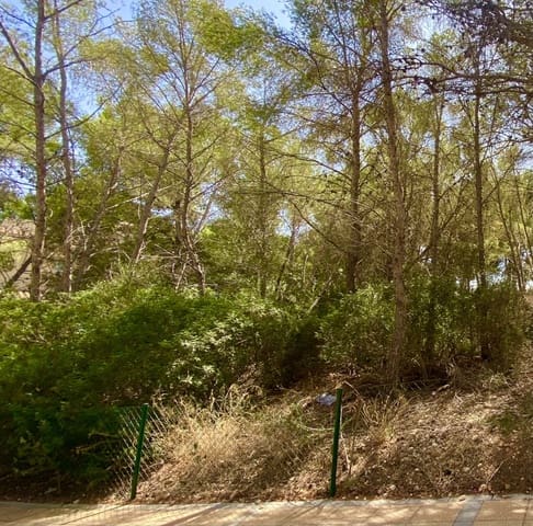 Terrain à Bâtir à vendre à Sol de Mallorca, Calvià - 965 000 € (Ref: 9195384)