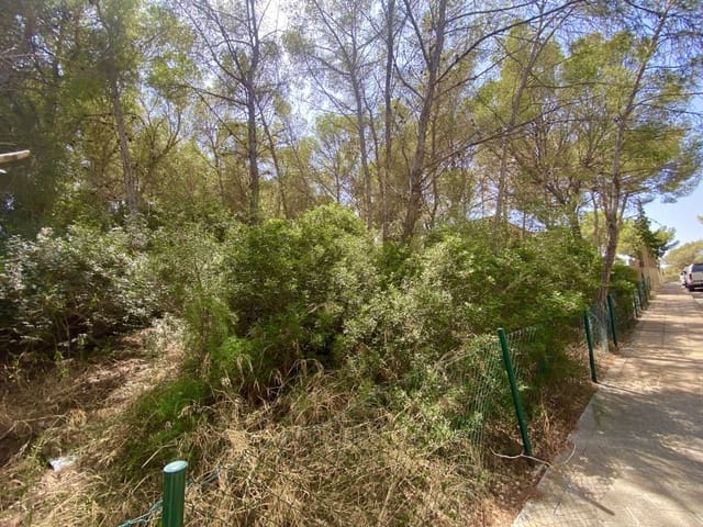 Terrain à Bâtir à vendre à Sol de Mallorca, Calvià - 965 000 € (Ref: 9195384)