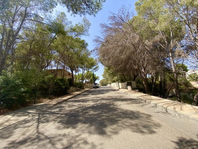 Terrain à Bâtir à vendre à Sol de Mallorca, Calvià - 965 000 € (Ref: 9195384)