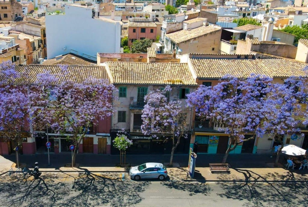 6 bedroom Townhouse for sale in Palma de Mallorca - € 1,200,000 (Ref: 9429410)