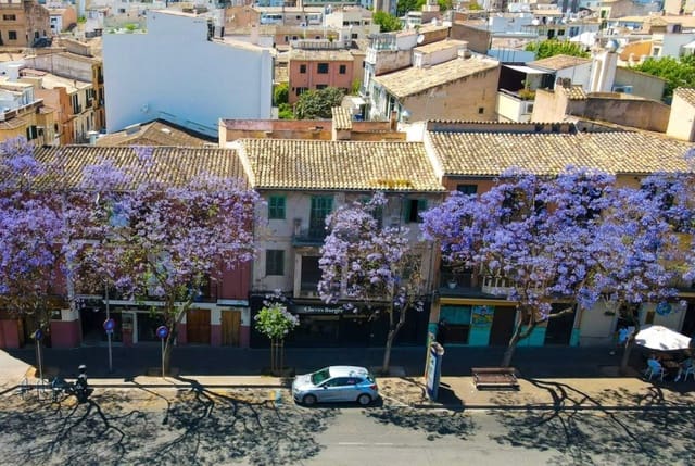 6 soverom Hus til salgs i Palma de Mallorca - € 1 200 000 (Ref: 9429410)