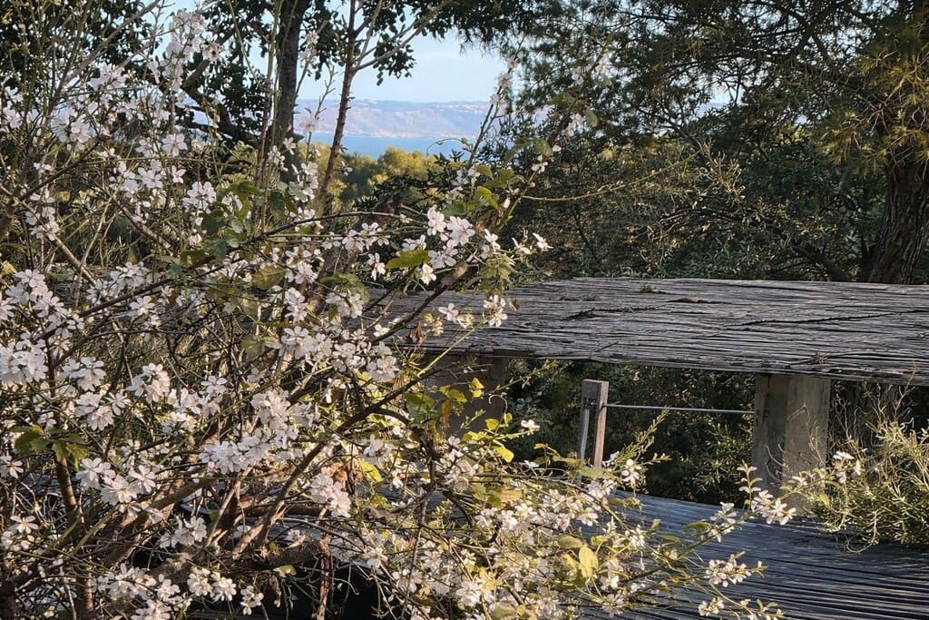 2 quarto Apartamento para venda em Portals Nous - 905 000 € (Ref: 9755431)