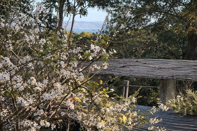 2 quarto Apartamento para venda em Portals Nous, Calvià - 905 000 € (Ref: 9755431)