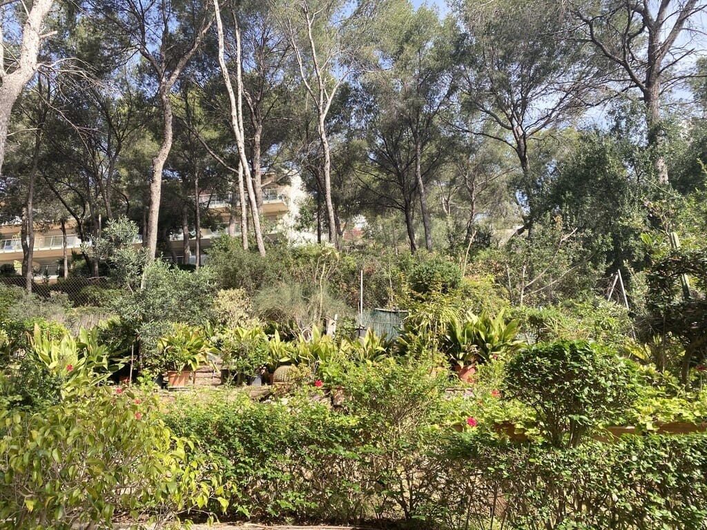 2 quarto Apartamento para venda em Santa Ponsa - 450 000 € (Ref: 9794305)