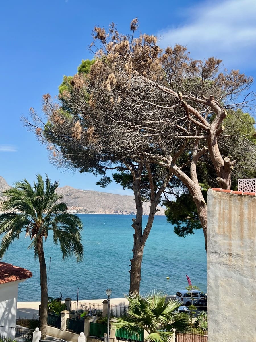 3 bedroom Apartment for sale in Altea - € 395,000 (Ref: 9371751)