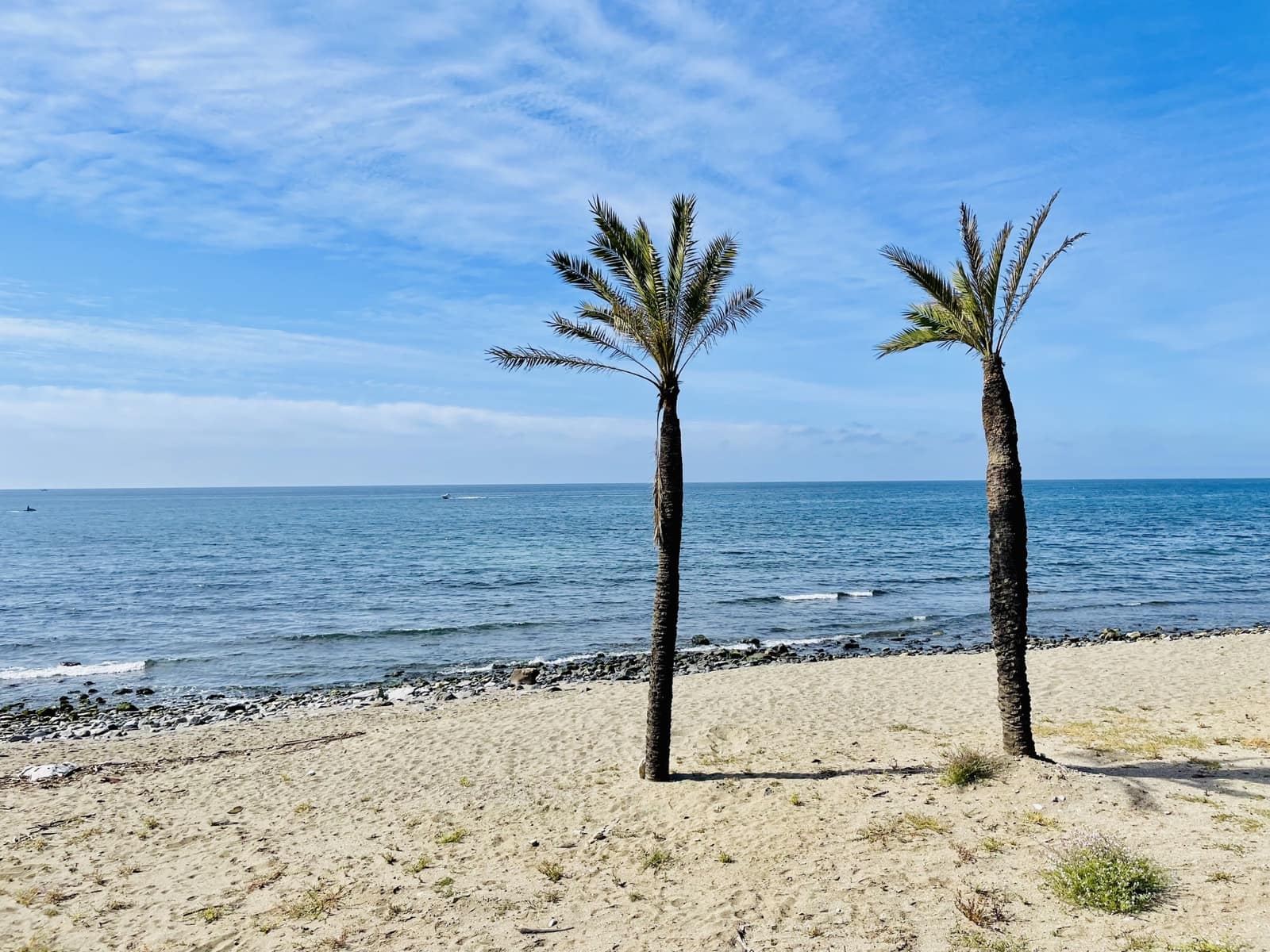1 soverom Leilighet til salgs i Marbella med svømmebasseng garasje - € 465 000 (Ref: 10102258)