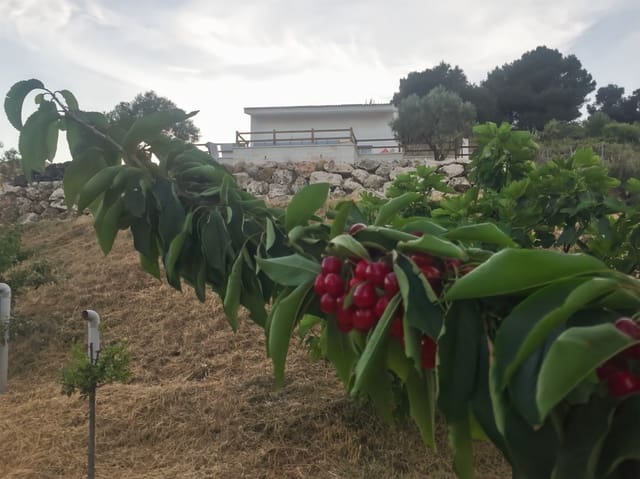 2 quarto Quinta/Casa Rural para venda em Yunquera com garagem - 340 000 € (Ref: 10161262)