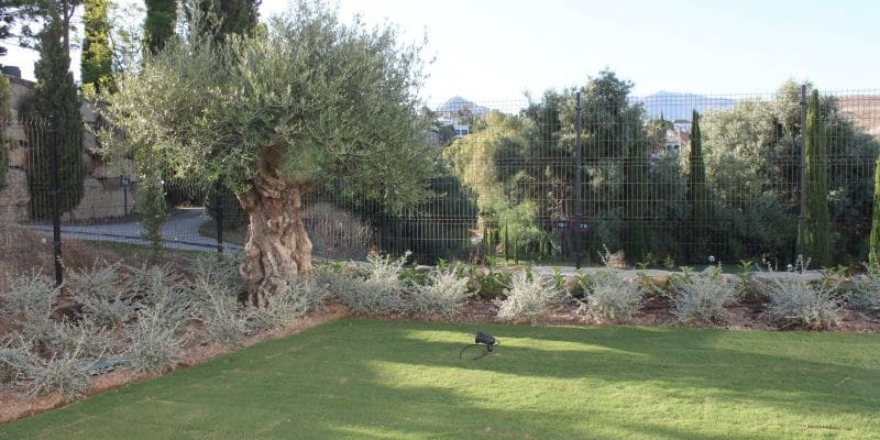 6 bedroom Villa for sale in Los Flamingos with pool garage - € 3,800,000 (Ref: 5052681)