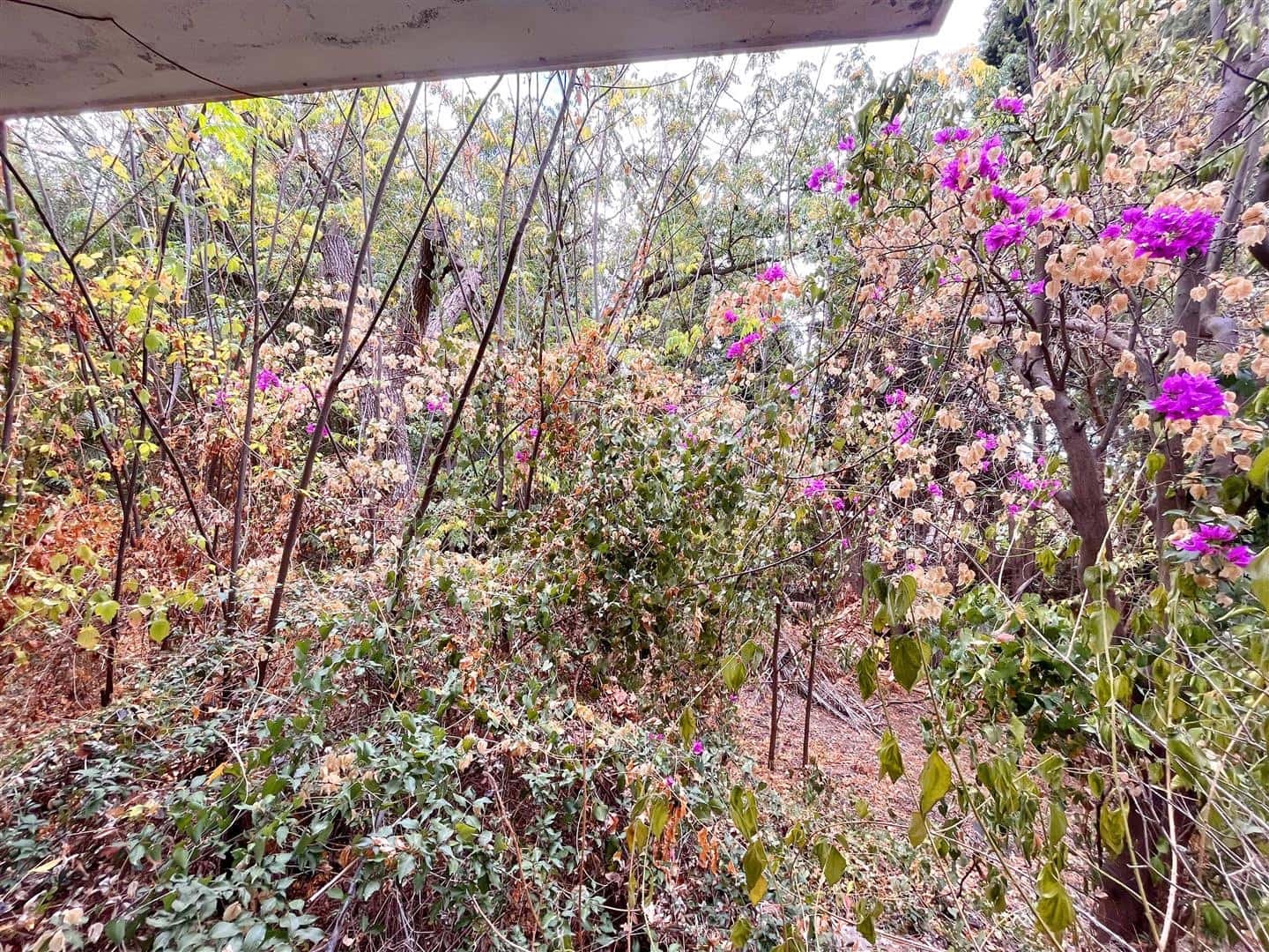 6 sovrum Villa till salu i Marbella - 1 975 000 € (Ref: 7852152)