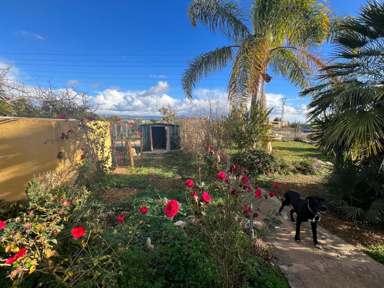 3 slaapkamer Finca/Landhuis te koop in Alhaurin de la Torre met zwembad garage - € 480.000 (Ref: 8089044)