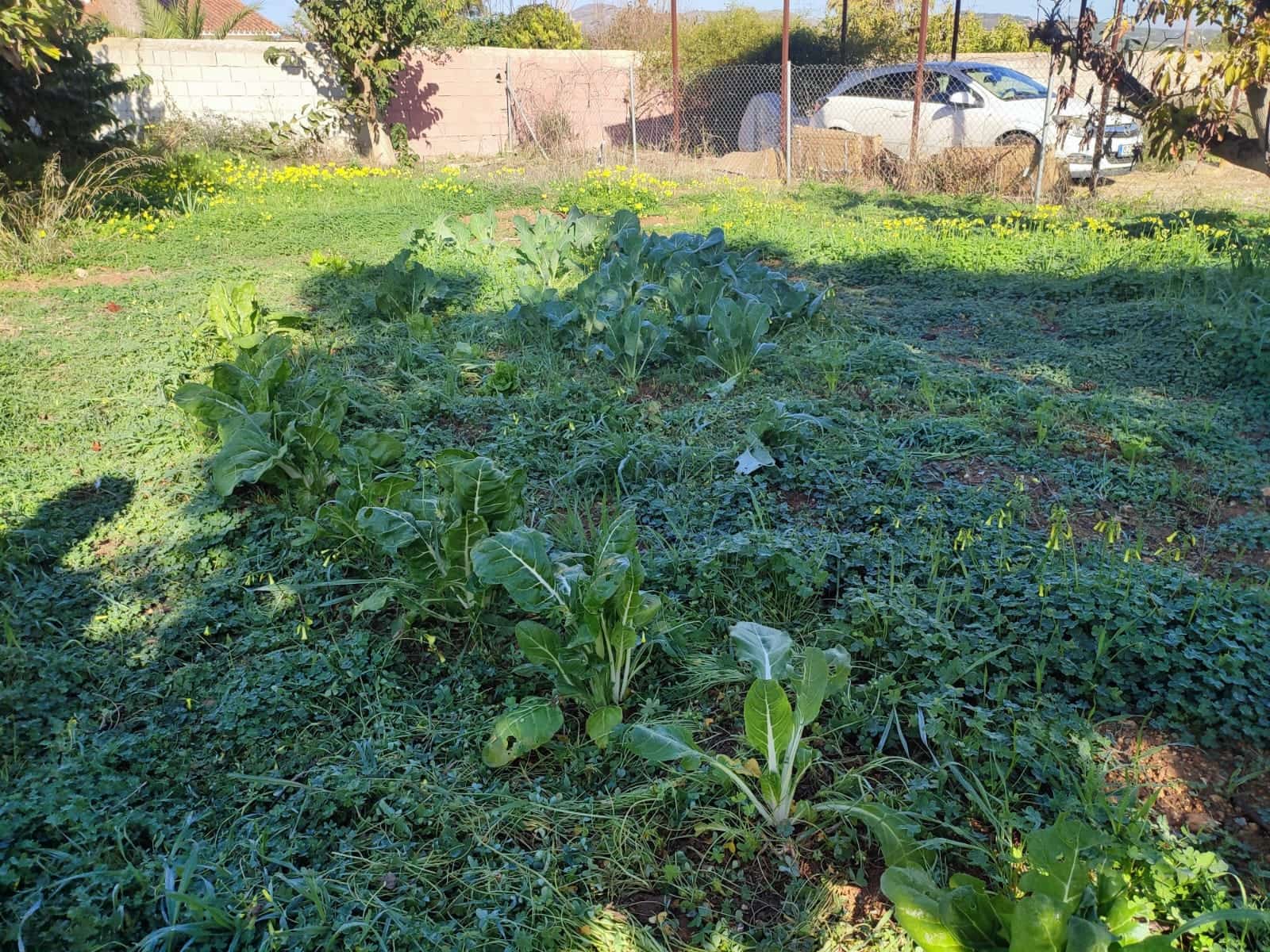 3 slaapkamer Finca/Landhuis te koop in Alhaurin de la Torre met zwembad garage - € 480.000 (Ref: 8089044)