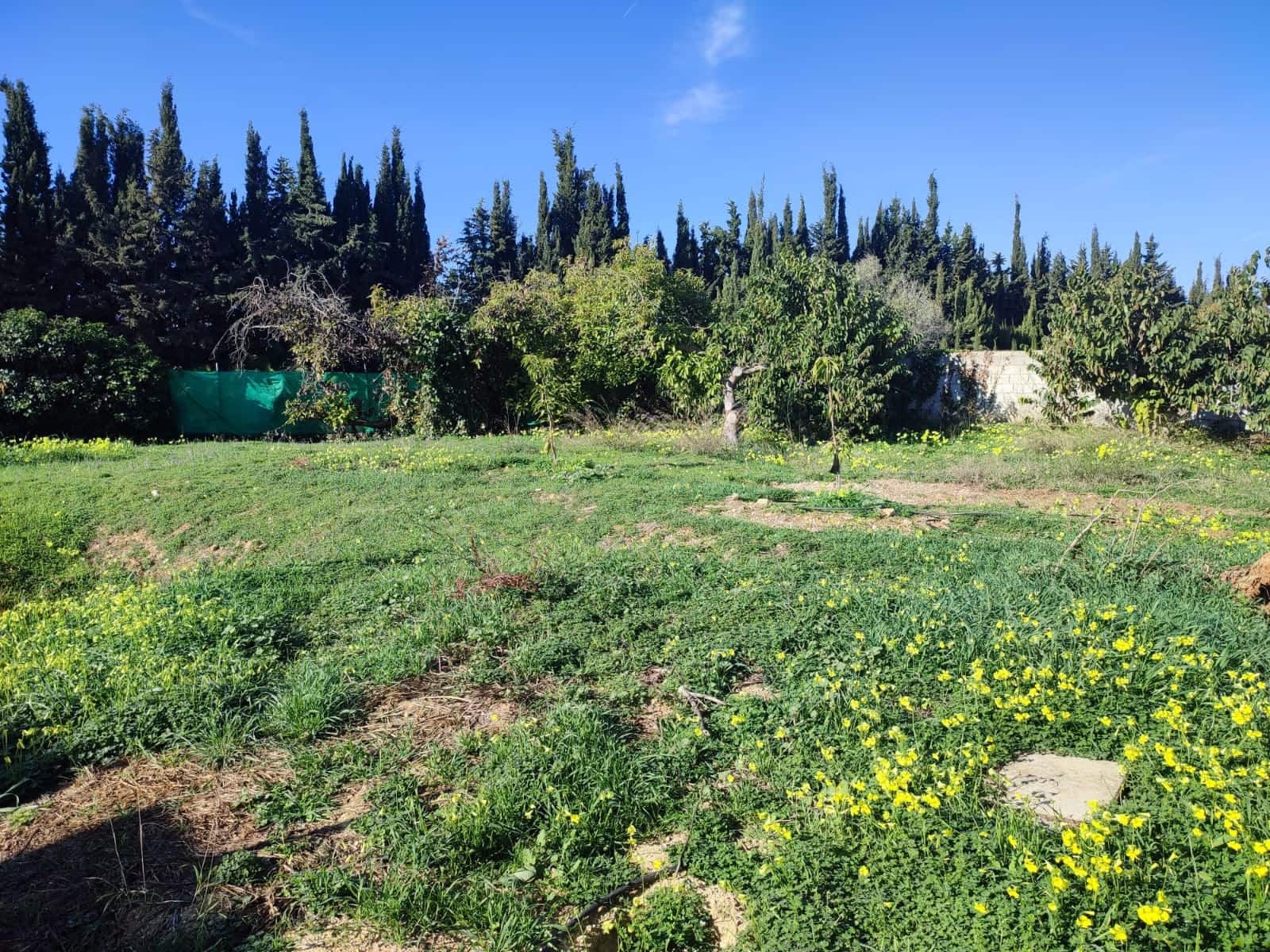 3 soverom Finca/Herregård til salgs i Alhaurin de la Torre med svømmebasseng garasje - € 480 000 (Ref: 8089044)