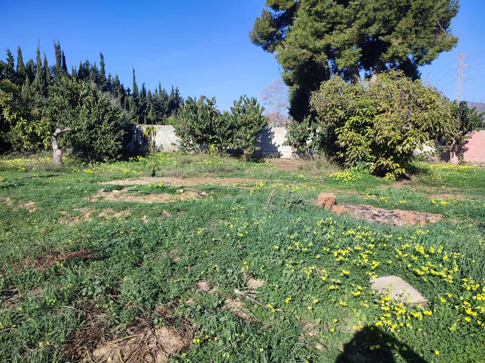 3 soverom Finca/Herregård til salgs i Alhaurin de la Torre med svømmebasseng garasje - € 480 000 (Ref: 8089044)