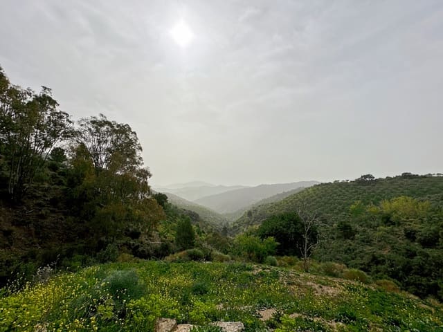 8 Zimmer Finca/Landgut zu verkaufen in Málaga Stadt mit Pool Garage - 1.591.000 € (Ref: 8319168)