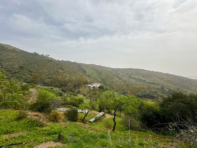 8 Zimmer Finca/Landgut zu verkaufen in Málaga Stadt mit Pool Garage - 1.591.000 € (Ref: 8319168)