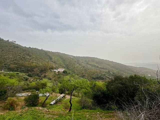 8 Zimmer Finca/Landgut zu verkaufen in Málaga Stadt mit Pool Garage - 1.591.000 € (Ref: 8319168)