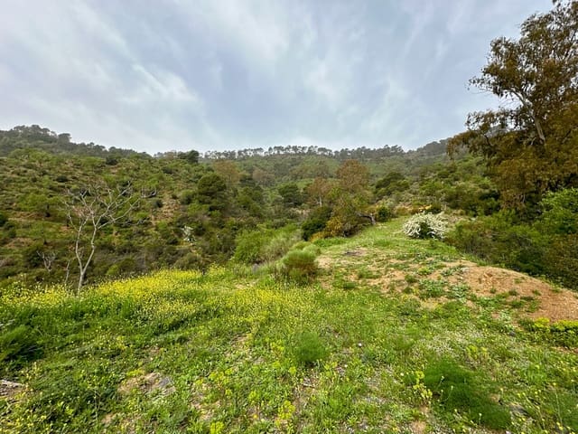 8 Zimmer Finca/Landgut zu verkaufen in Málaga Stadt mit Pool Garage - 1.591.000 € (Ref: 8319168)