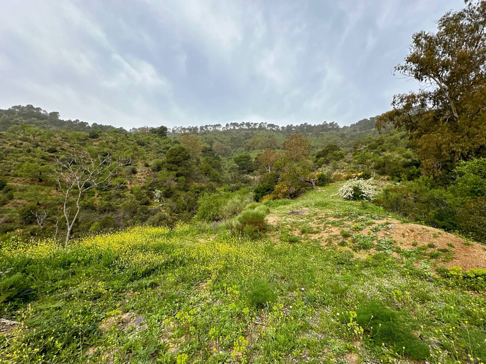 8 quarto Quinta/Casa Rural para venda em Malaga cidade com piscina garagem - 1 591 000 € (Ref: 8319168)
